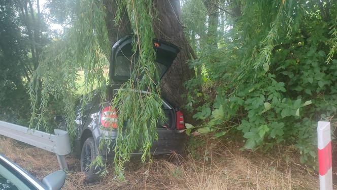 ​W Pawłowicach młody kierowca wypadł z drogi i uderzył w drzewo