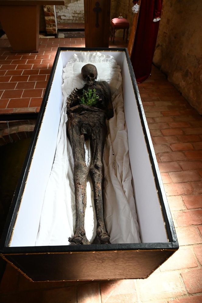 Mumia szlachcica odkryta w Komorowie