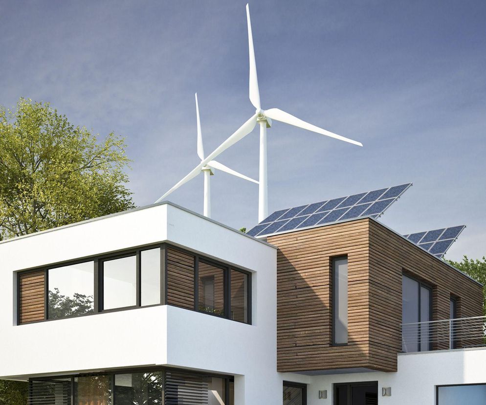 przydomowa elektrownia wiatrowa cena 2024