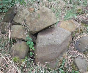 Bazaltowe słupy na Dolnym Śląsku