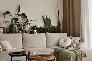 Mieszkanie w stylu japandi w Katowicach