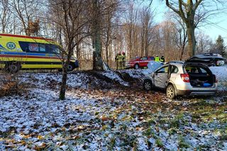 Chevrolet wjechał w drzewo, trzy osoby poszkodowane. Śmigłowiec LPR na miejscu