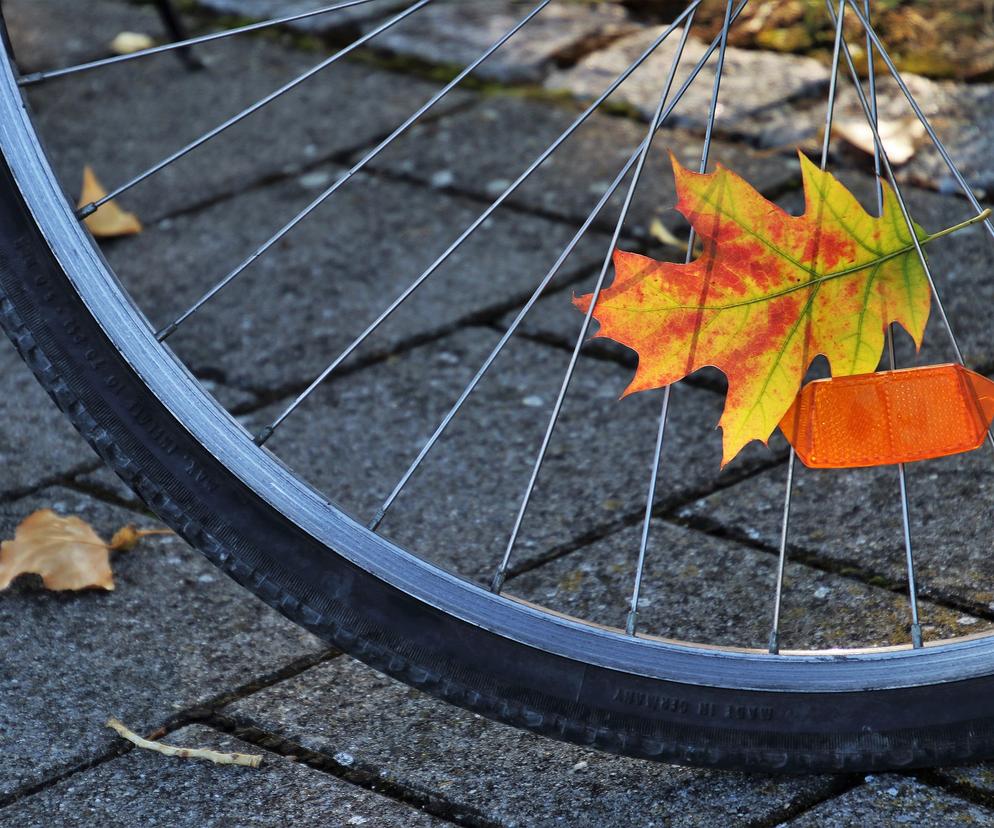 rower jesień