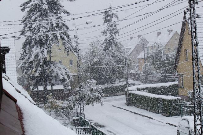 Zima w maju 2011 - zdjęcia Czytelników (Kłodzko, Bardo, okolice Ząbkowic Śląskich)