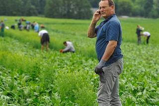 POSEŁ KŁOPOTEK RWIE CHWASTY.