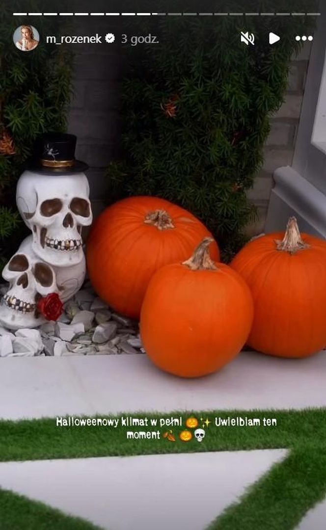 Małgorzata Rozenek-Majdan