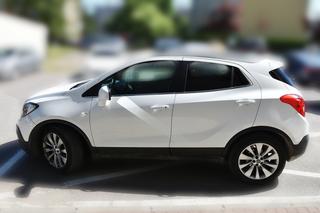 Bieszczadzki Oddział SG rozbił międzynarodową grupę przestępczą