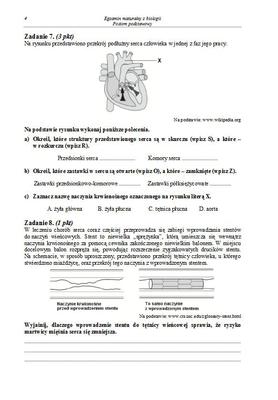 Matura 2013 biologia p. podstawowy