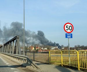 Ogromny pożar pod Zieloną Górą! Płonie hala firmy DBW. Jest pilny apel do mieszkańców