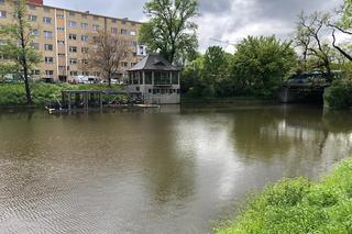 Pani Nina ratowała mężczyznę, który wpadł do fosy. Gapie wyciągnęli telefony i nagrywali 