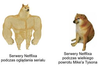 Memy po walce Mike Tyson vs Jake Paul