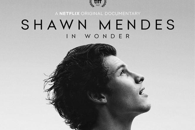 Shawn Mendes - In Wonder