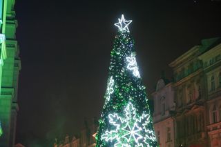 Rozświetlenie choinki na Starym Rynku w Poznaniu