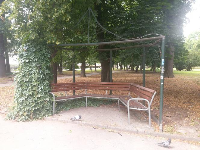 Park przy Dąbrowskiego w Rzeszowie