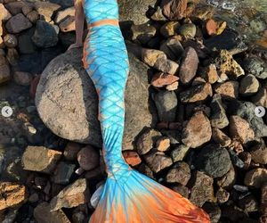 Martyna Wojciechowska