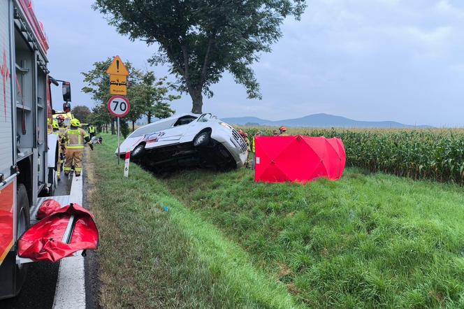 Bus uderzył w drzewo koło Wrocławia. Dwie osoby nie żyją