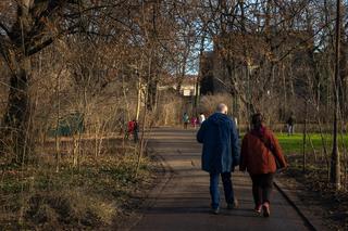 Park Jalu Kurka w Krakowie