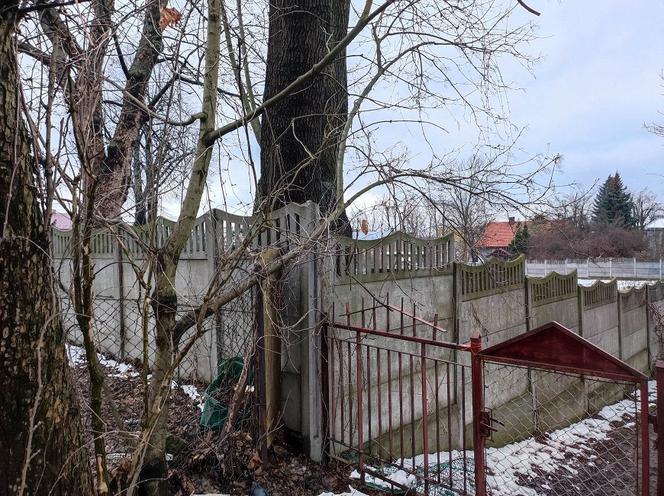 Zwłoki kobiety znalezione przy domu zakonnym. Siostry czuły fetor, szokujące zeznania sąsiadki