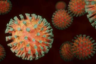 Nowy wariant koronawirusa w Polsce. Potwierdzono siedem przypadków zakażenia