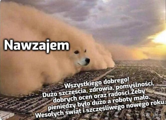 MEMY na Święta Bożego Narodzenia 2022. Nie przestaniesz się śmiać!