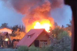 Pożar domku letniskowego na działkach ROD w Toruniu