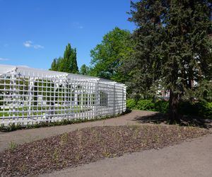 Różanka w Parku Planty po remoncie