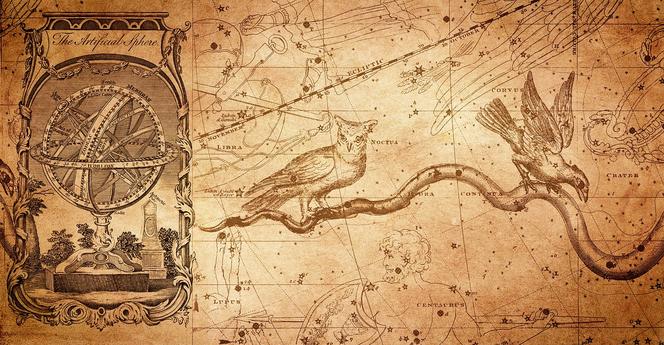 Horoskop 7.12:   Koziorożec