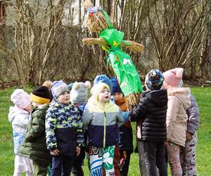 Na podzamczu w Liwie dzieci puszczały latawce