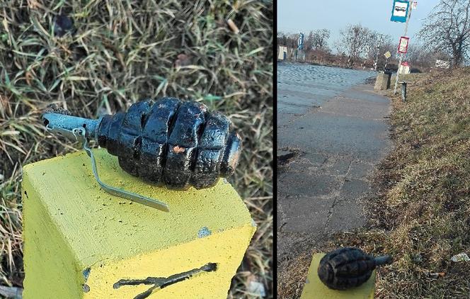 Granat na przystanku w Gdańsku
