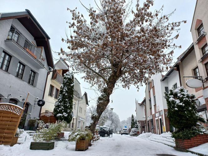 Leszno wygląda bajkowo! Na walentynki sypnęło śniegiem