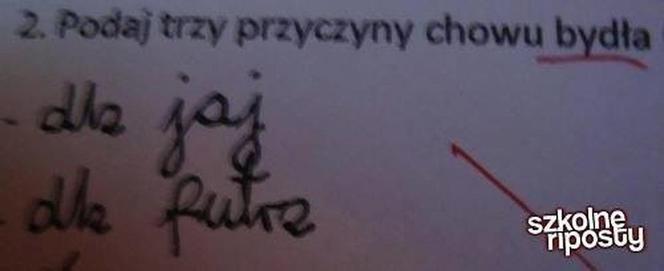 Nauczyciel płakał ze śmiechu jak sprawdzał. Te odpowiedzi z klasówek to HIT! [GALERIA]