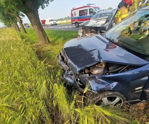 Wypadek niedaleko Gostynia. Kobieta zasnęła za kółkiem