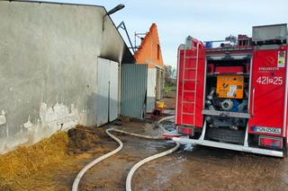 Pożar obory w Dalkach pod Gnieznem