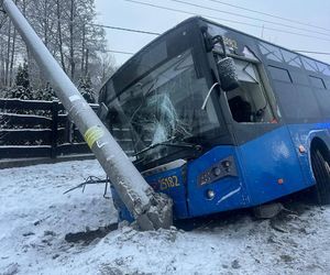 Pasażerowie przeżyli prawdziwe chwile grozy. Autobus zjechał do rowu i uderzył w słup!