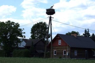 Ta wieś na Podkarpaciu powstała jako osada niemieckich kolonistów. Jedną z dziedziczek wsi była księżna Elżbieta