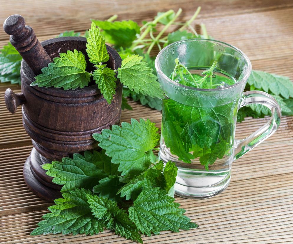 Najłatwiej jest pić napar z pokrzywy w formie herbaty. Można do tego użyć świeżych lub suszonych liści pokrzywy. Świeże liście parzymy przez 30 sekund, a suszone - ok. 2 minut. Na rynku są też dostępne gotowe herbatki z pokrzywy w torebkach