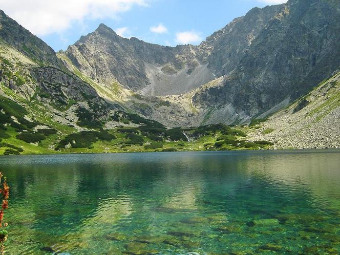 Niżni Ciemnosmreczyński Staw