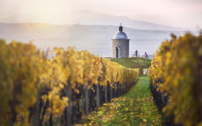 Czechy najlepszą jesienną destynacją rowerową