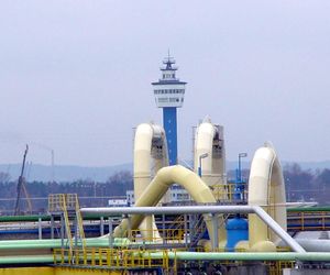 Naftoport w Porcie Gdańskim - Terminal