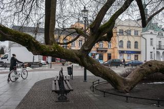Polskie klony na europejskie salony