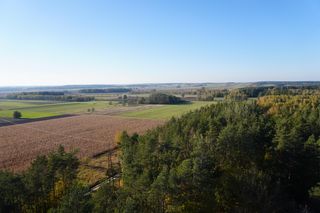 To najwyższy punkt widokowy w pobliżu Białegostoku. Widoki jesieni tak niesamowite, że aż przyklękniesz