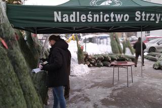 Duże zainteresowanie choinkami za oddanie krwi. 100 sztuk poszło w kilka godzin! 