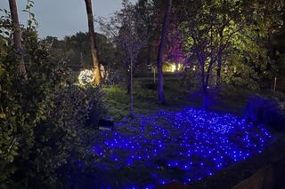 Lumina Park w Poznaniu. Multimedialny spacer w milionie świateł powraca w nowej odsłonie