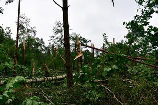 Trąba powietrzna przeszła przez Złocieniec