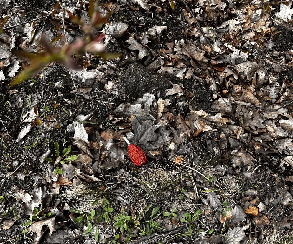 Dzieciaki w Rybniku-Kamieniu poszły szukać zajączka na pole. Wróciły z granatem w koszyczku