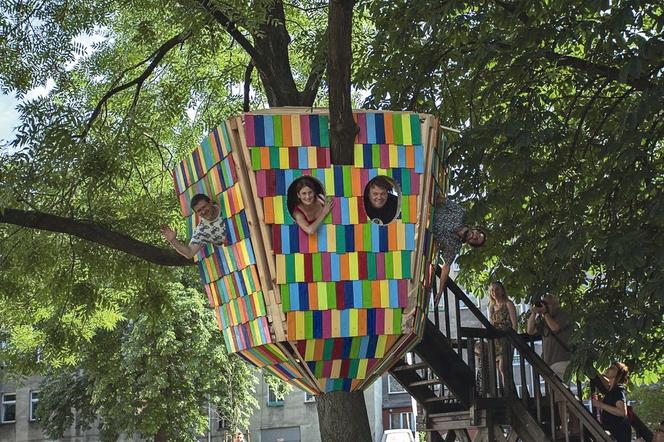 Domek na drzewie, projekt: Niedzielni