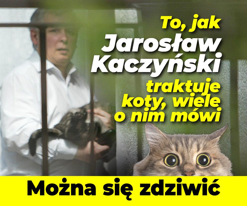 To, jak Jarosław Kaczyński traktuje koty, wiele o nim mówi