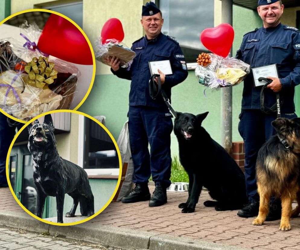 Wiernie służyli przez 10 lat. Kałam, Lejmur i Karzeł odeszli na zasłużoną emeryturę