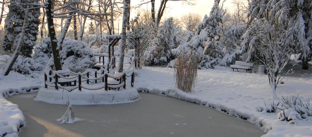 Ogród botaniczny w Zabrzu zostanie rozbudowany. W planach większa szklarnia nowe nasadzenia  [ZDJĘCIA]