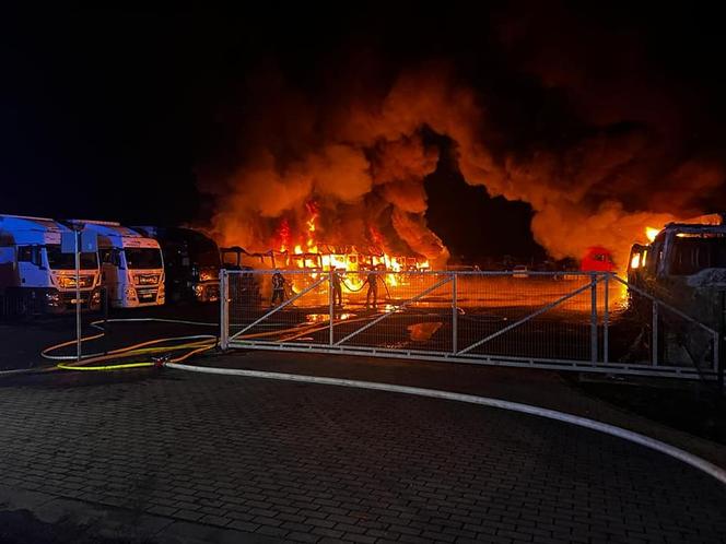 Wielki pożar w Osiecznicy na Dolnym Śląsku. Spłonęło 16 ciężarówek